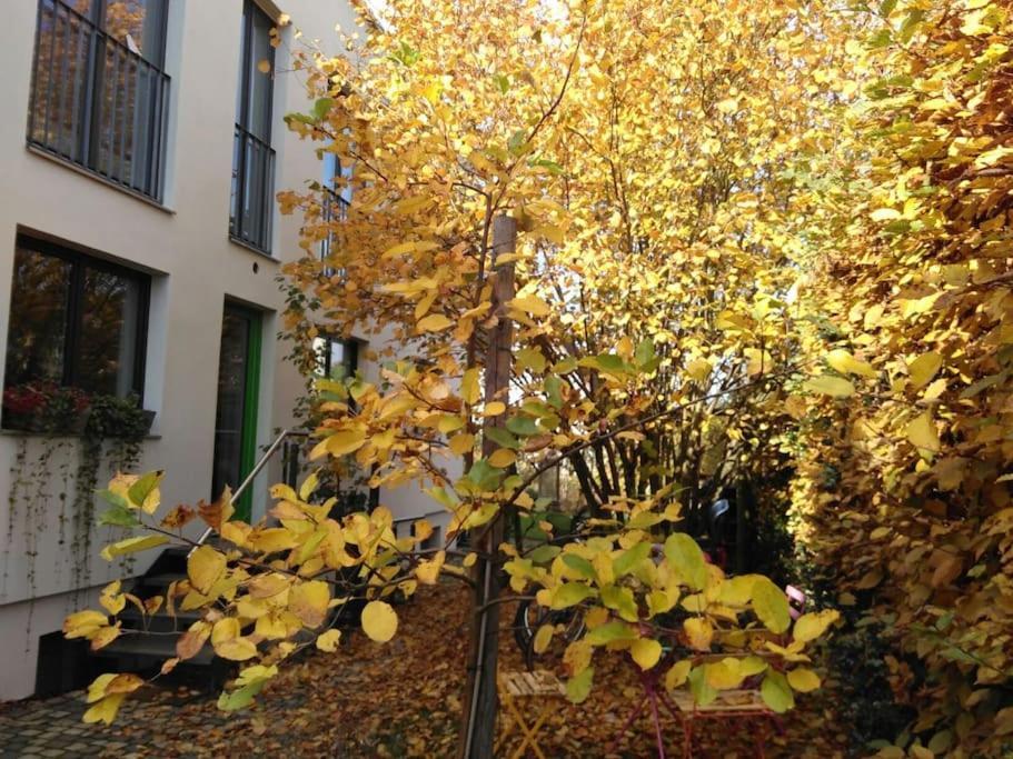Gute Lage, 3 Raeder, Gruen, Familien Apartment Trier Luaran gambar